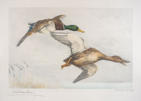 Aguafuerte Danchin - 03 Canards sauvages - A couple of Mallards flying (Original)