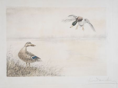 Aguafuerte Danchin - 05 Canards se posant - Two Ducks landing (Original)