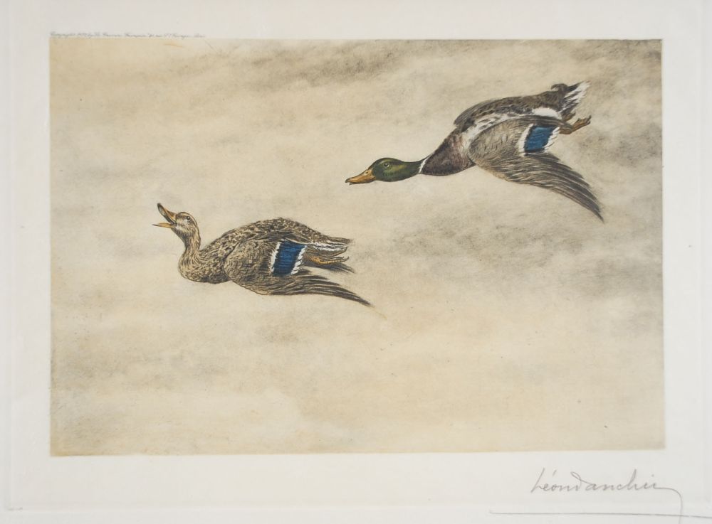 Aguafuerte Danchin - 06 Canards de passage - Two passing Ducks (Original)