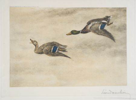 Aguafuerte Danchin - 06 Canards de passage - Two passing Ducks (Original)