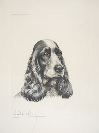 Aguafuerte Danchin - 23 Tête de Cocker femelle - Black and white Cocker Spaniel head (Original)