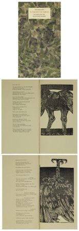 Libro Ilustrado Baskin - A Primer of Birds