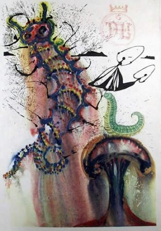 Litografía Dali - Advice from a caterpillar