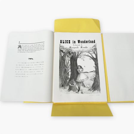 Litografía Kaneko - Alice in Wonderland (Complete set of 12 lithographs)
