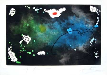 Grabado Miró - Archipel sauvage n° 4