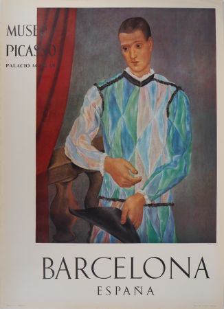 Libro Ilustrado Picasso - Arlequin