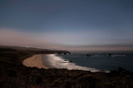 Fotografía Wesely - Arroyo Hondo Preserve