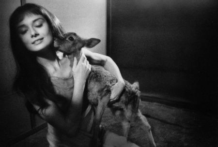 Fotografía Willoughby - Audrey Hepburn and deer