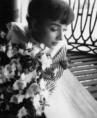 Fotografía Willoughby - Audrey Hepburn window