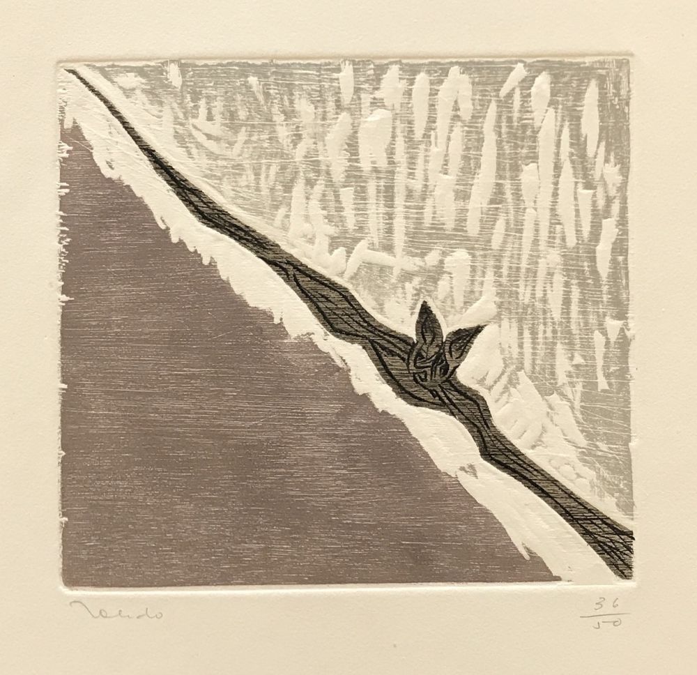 Grabado Toledo - Bat in Flight 