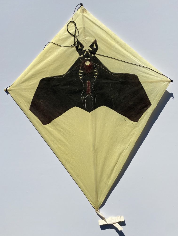 Sin Técnico Toledo - Bat on Yellow Background Kite