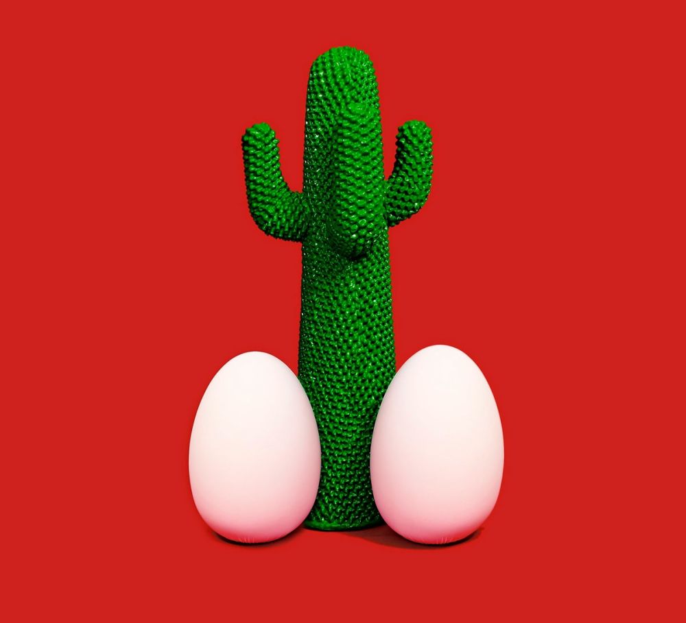 Sin Técnico Cattelan - Cactus God