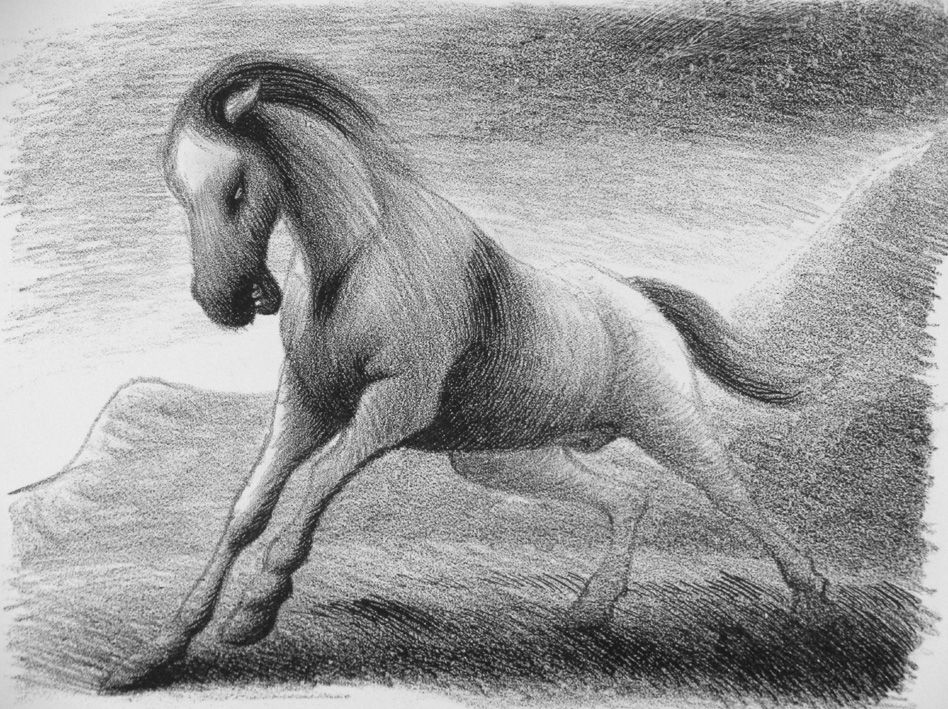 Litografía Grasselli - Cavallo che fugge