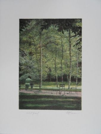 Sin Técnico Altman - Central Park - A quiet place