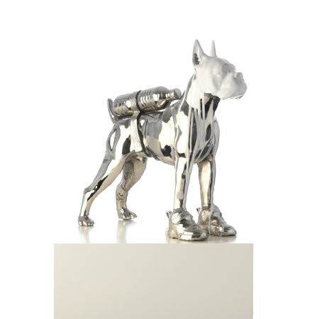 Múltiple Sweetlove - Cloned Bulldog with petbottle & shoes (white head)