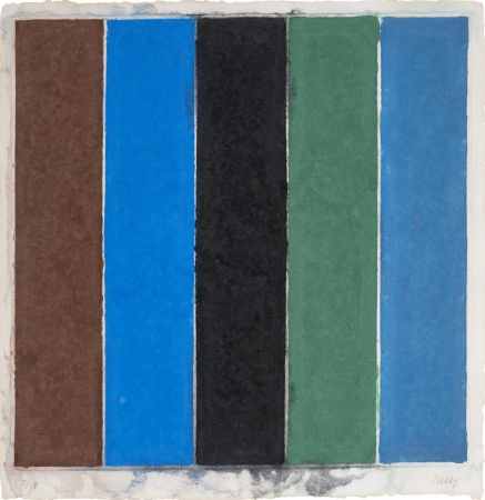 Sin Técnico Kelly - Colored Paper Image XIX (Brown Blue Black Green Violet)