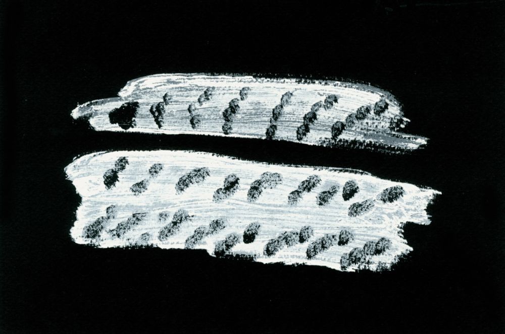 Libro Ilustrado Michaux - Comme un ensablement