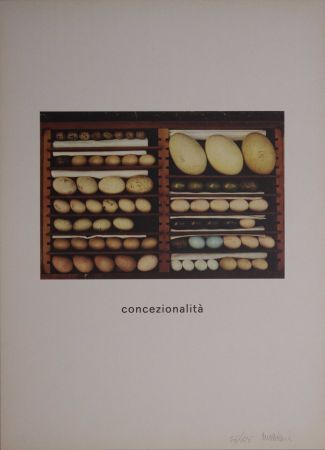 Serigrafía Mattiacci - Concezionalità