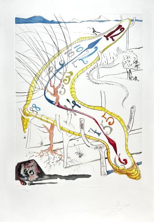 Grabado Dali - Conquest of Cosmos Frozen Watches of Space Time