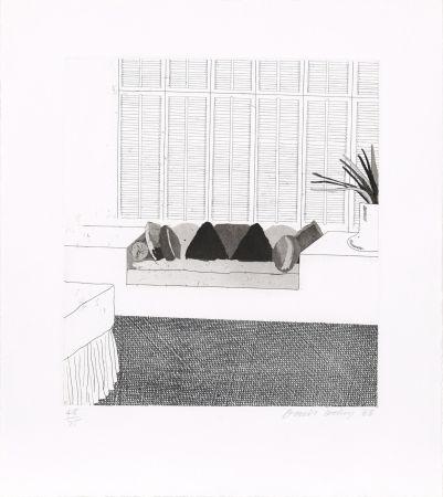 Aguafuerte Y Aguatinta Hockney - Cushions