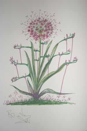 Litografía Dali -  Desert Cactus (surrealistic flowers)