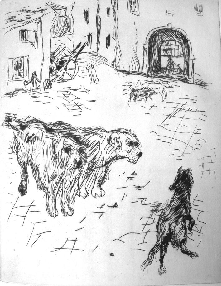 Libro Ilustrado Bonnard - Dingo