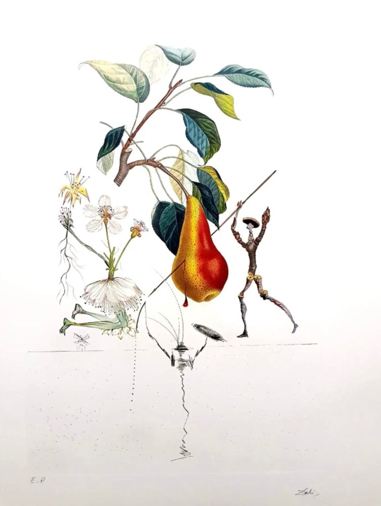 Litografía Dali - Don Quixote Pear