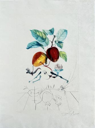 Litografía Dali - Dragon Apple from Flordali suite