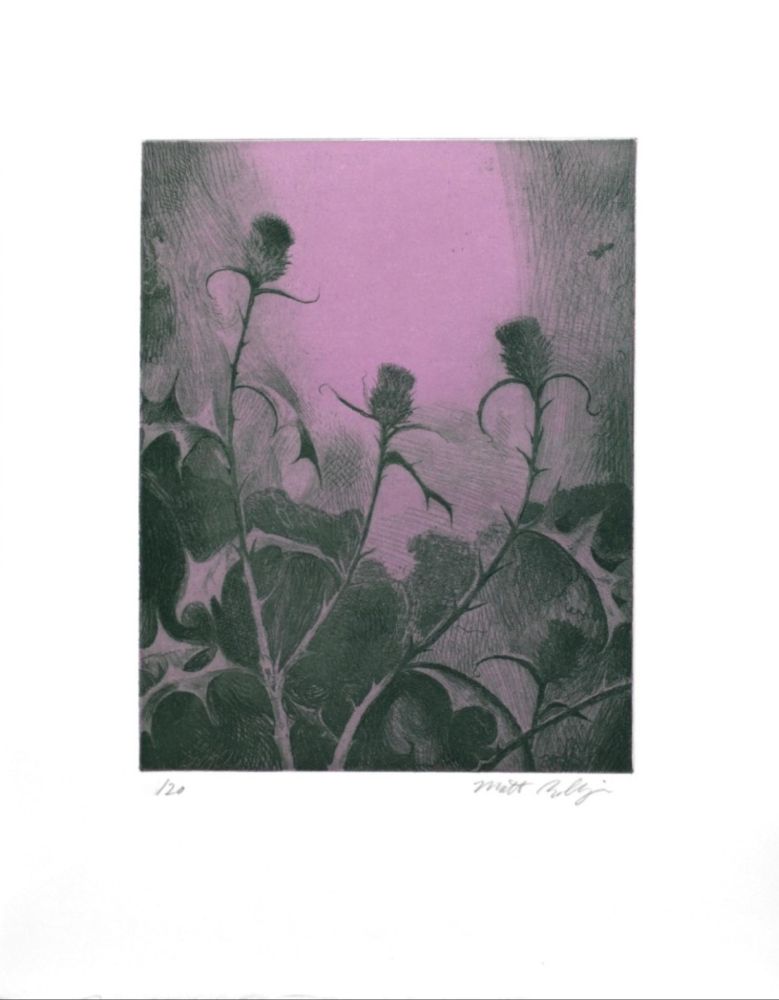 Grabado Bollinger - Dusk Thistle