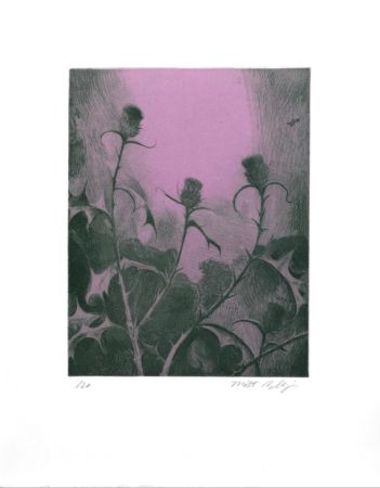 Grabado Bollinger - Dusk Thistle