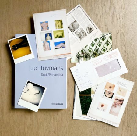 Múltiple Tuymans - Dusk/Penumbra (book)