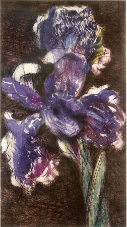Litografía Kentridge - Dutch Iris II