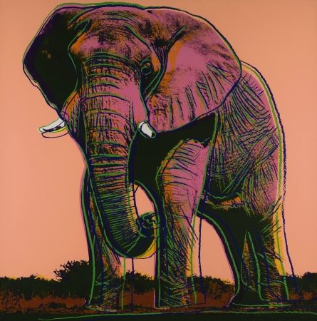 Serigrafía Warhol - Elephant 