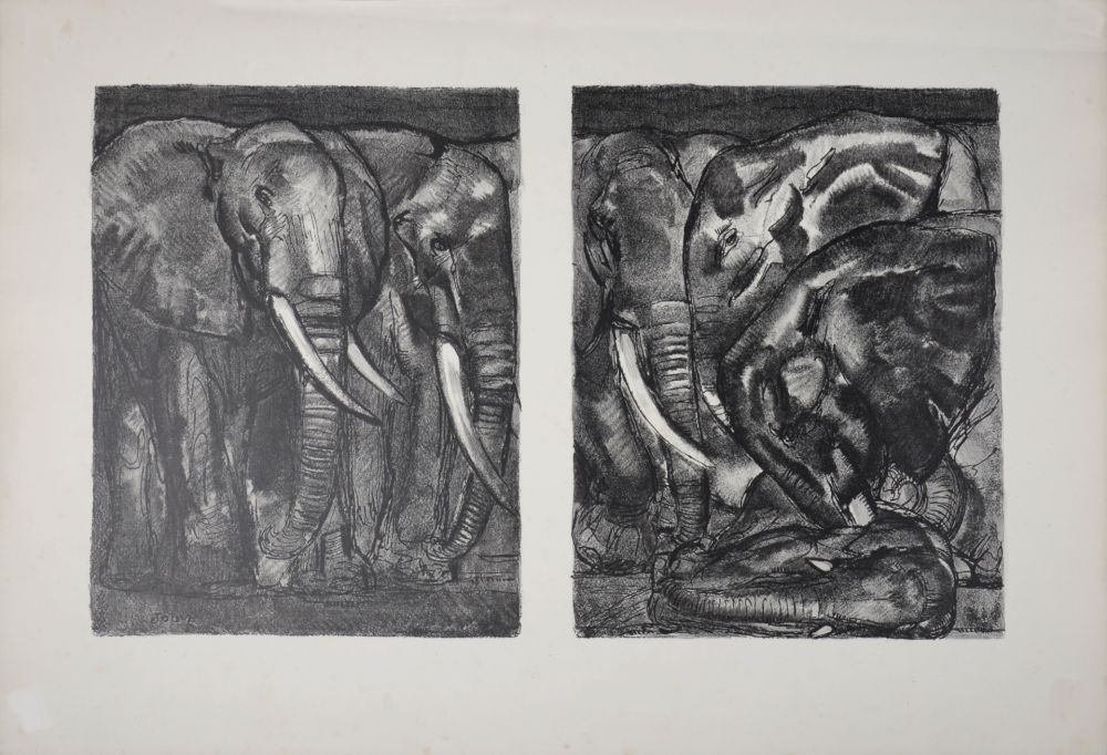 Litografía Jouve - Elephants