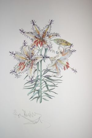 Litografía Dali - Erotic Lily (surrealistic flowers)