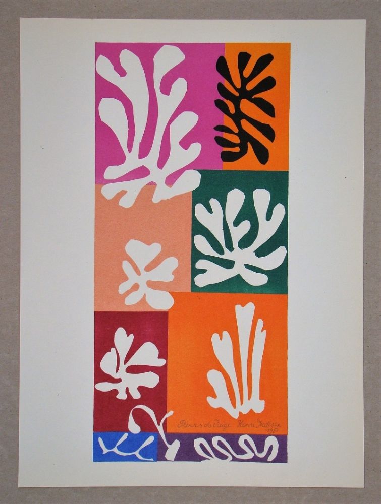 Litografía Matisse (After) - Fleur De Neige - 1951