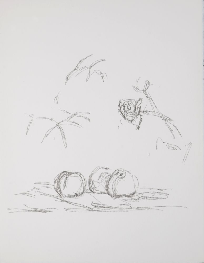 Litografía Giacometti - Fleurs, 1972