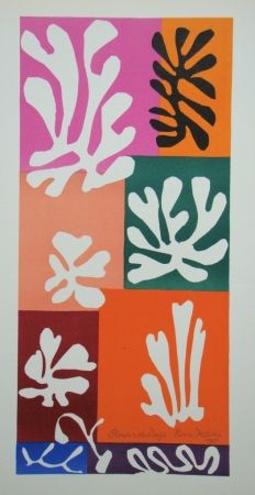 Litografía Matisse - Fleurs De Neige