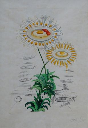 Grabado Dali - Flora Dalinae Chrysanthemum