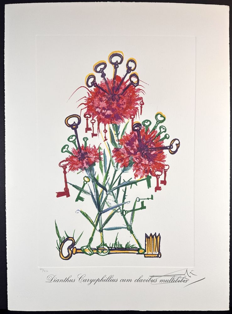 Grabado Dali - Florals Carnation Keys