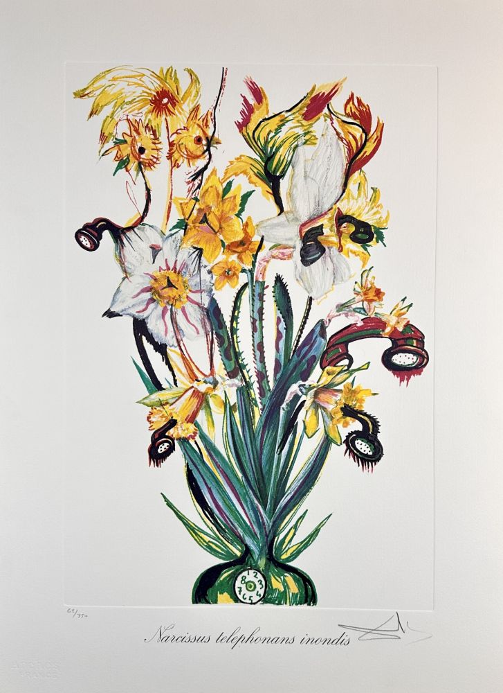 Grabado Dali - Florals Daffodils of Love
