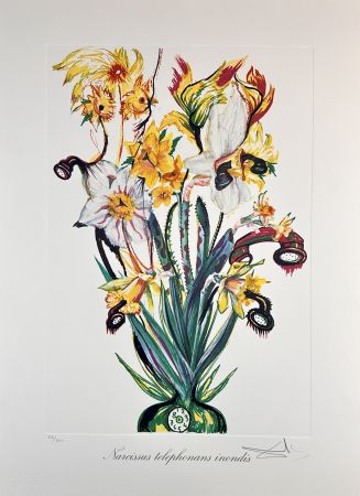 Grabado Dali - Florals Daffodils of Love
