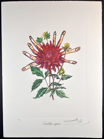 Grabado Dali - Florals Dahlias of Dali