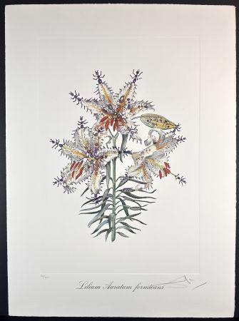 Grabado Dali - Florals Erotic Lily