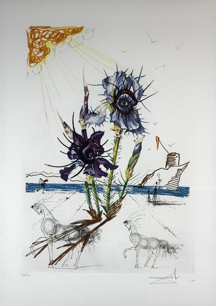 Grabado Dali - Florals Iris