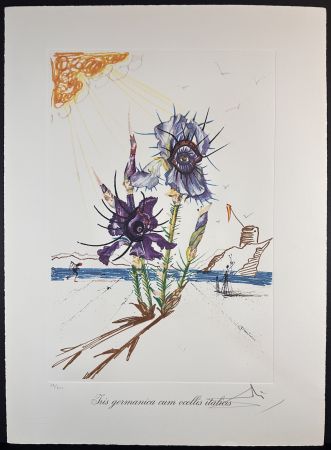 Grabado Dali - Florals Iris of Dali's Youth