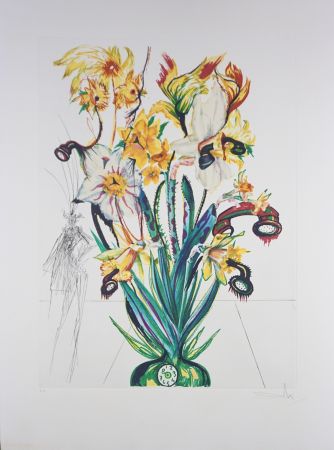 Grabado Dali - Florals Narcissus (Phones) Andalou