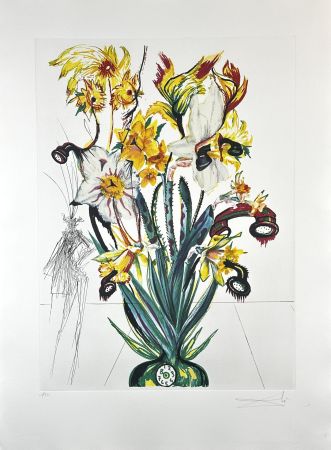 Grabado Dali - Florals Narcissus (Phones) Andalou