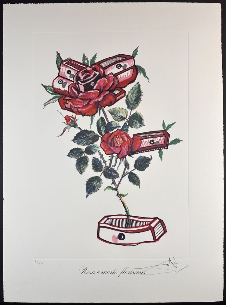 Grabado Dali - Florals Roses of Memory