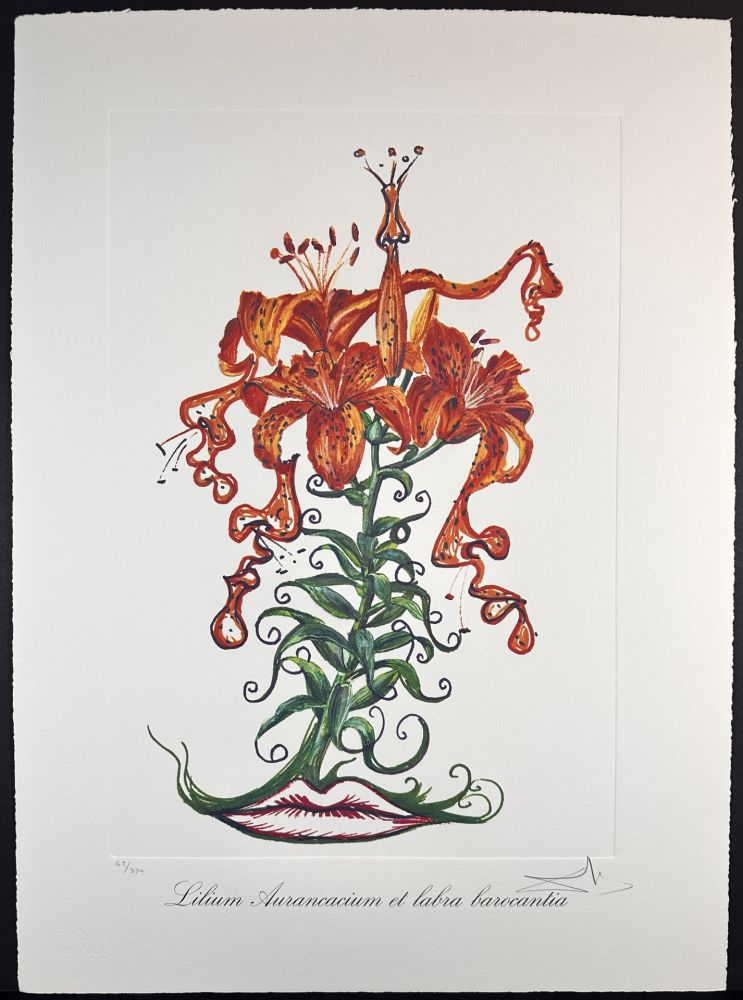 Grabado Dali - Florals Tiger Lilies of The Theatre